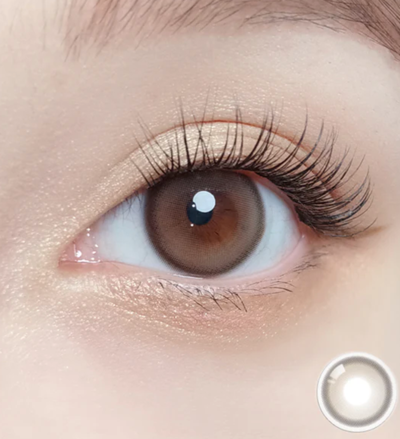 Purity Shine Taupe Brown