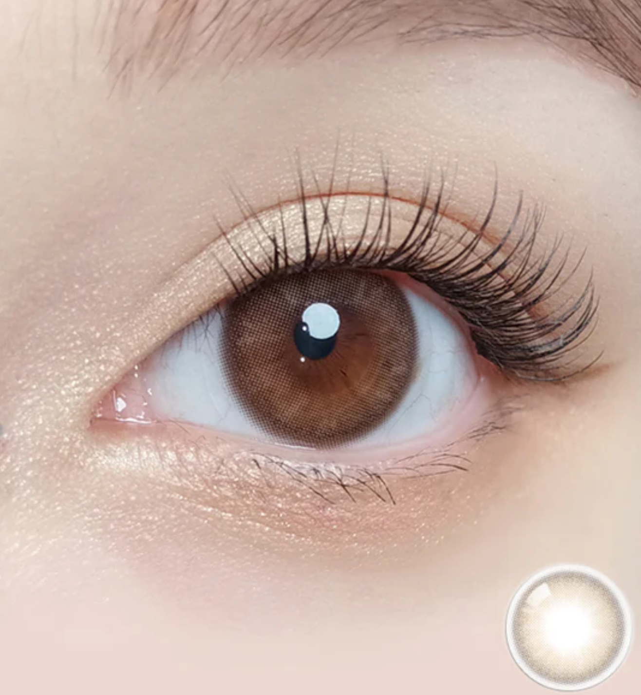 Mellows Muse brown Daily