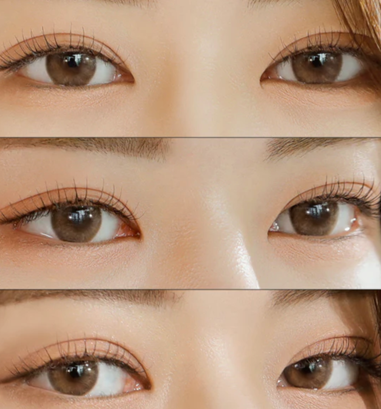 Mellows Muse brown Daily