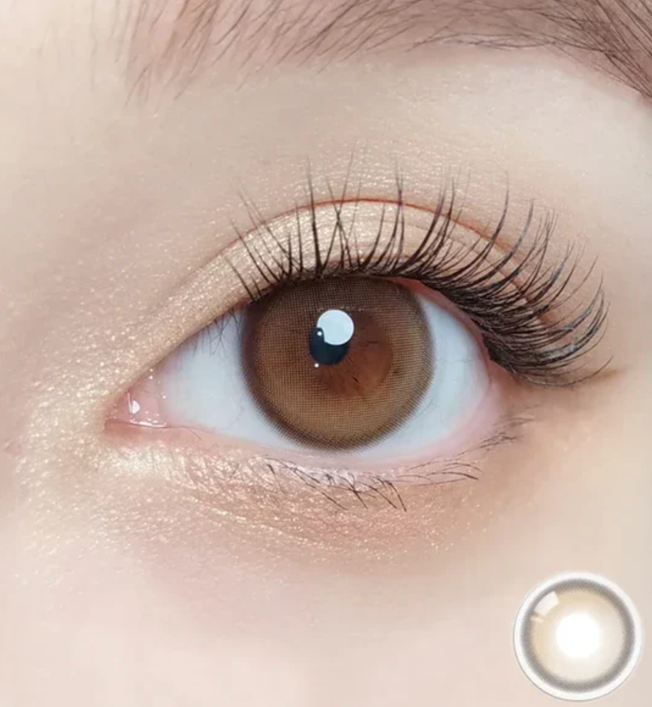 Purity Shine Hazel Brown Daily