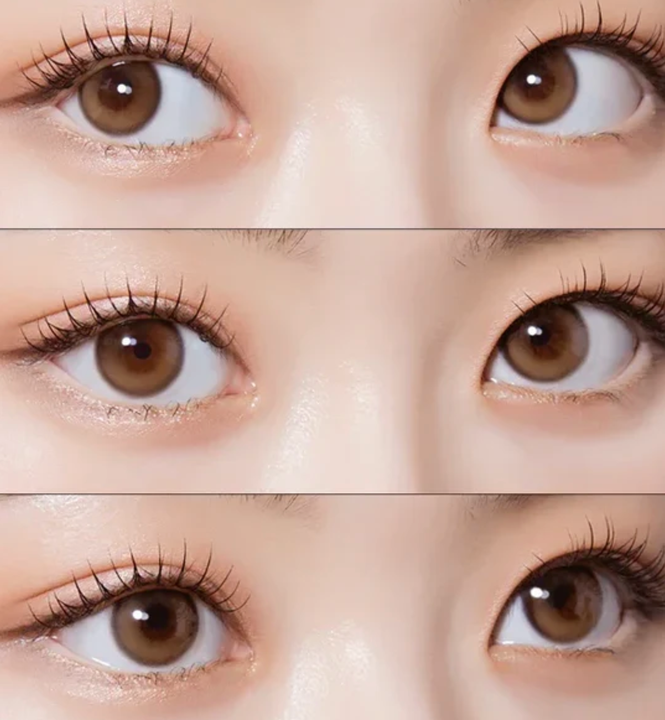 Purity Shine Hazel Brown Daily