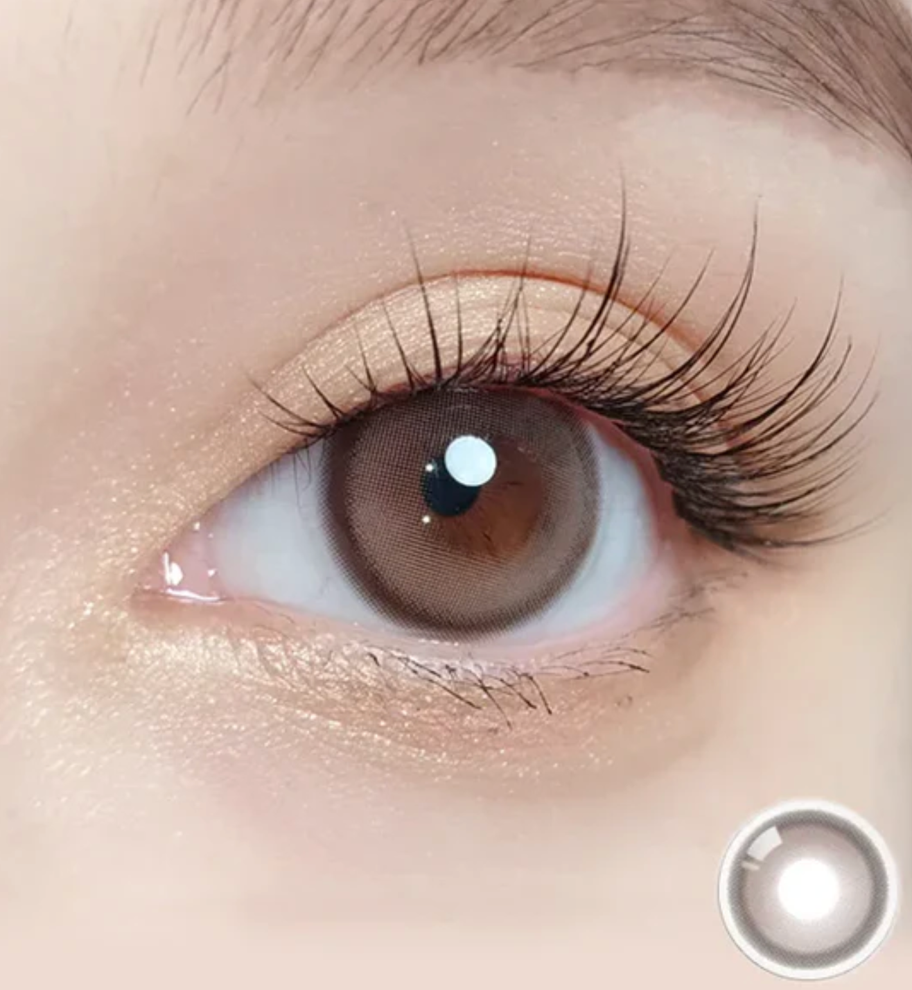 Purity Shine Mauve Choco